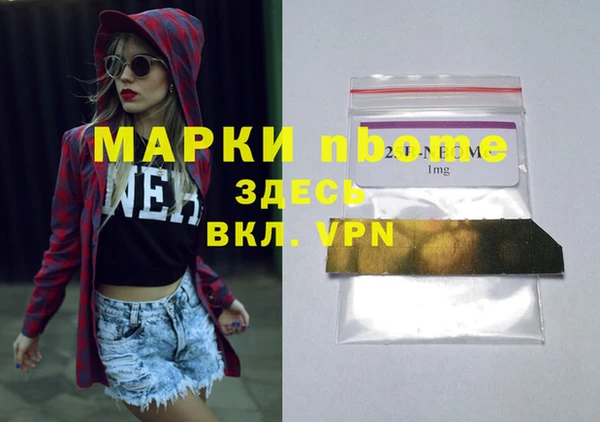 прущие грибы Няндома