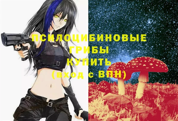 крисы Алексин